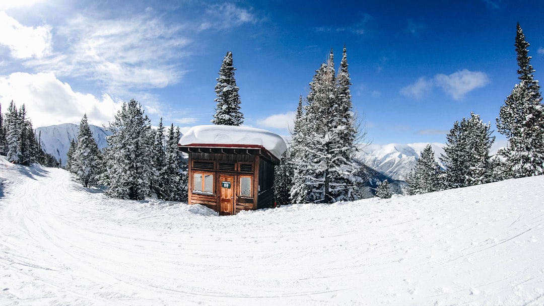 Rewilding Your Weekends: A DIY Guide to Backyard Adventures